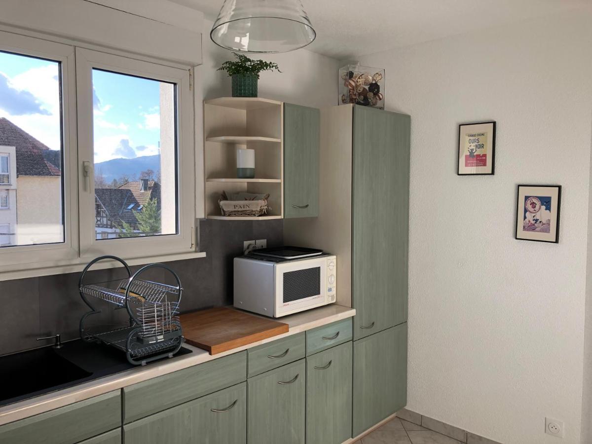 Au Pied Des Vosges Apartment โอแบร์เน ภายนอก รูปภาพ